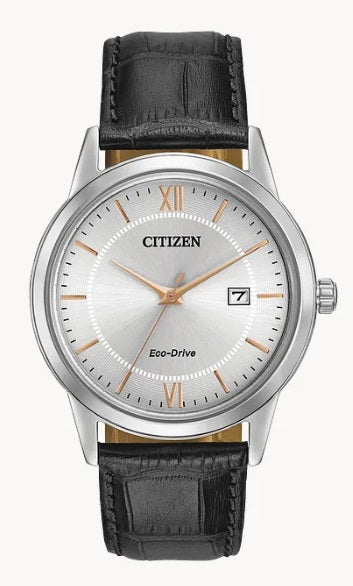 Men ECO WR SS STRA SLVR Citizen Watch