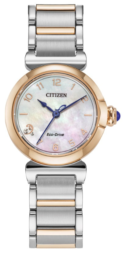Lad Eco Wr50 Sstrg Brac Whte Watch