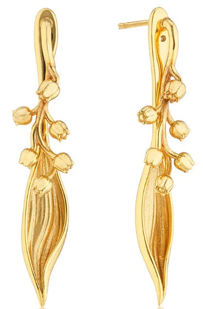 Meadow Lily of the Valley Conv