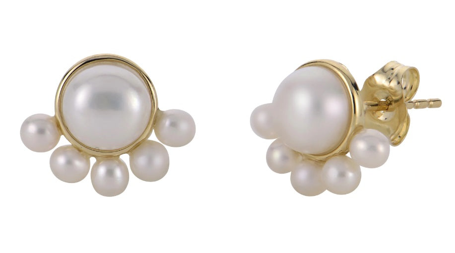 Ladies 14 Karat Yellow Gold Seed & Button FWCP Earrings
