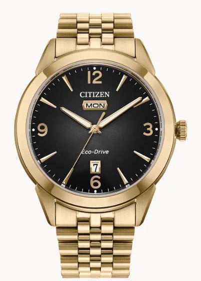 Men ECO WR100 SSG BRAC Gray Citizen Watch